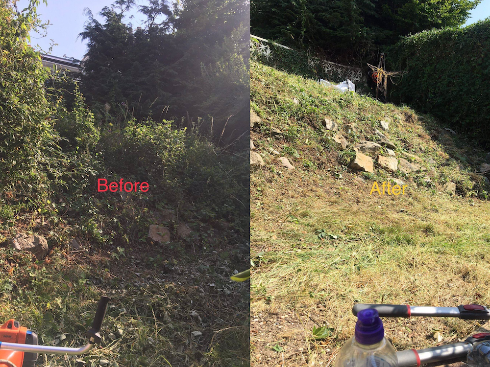 Before and after image of works by Little Joe's Tree Services