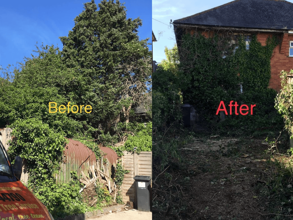 Before and after image of works by Little Joe's Tree Services