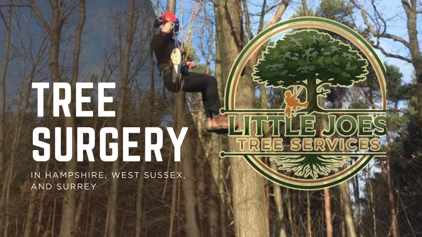 Little Joe's arborist roped up and working high in a tree with a chainsaw